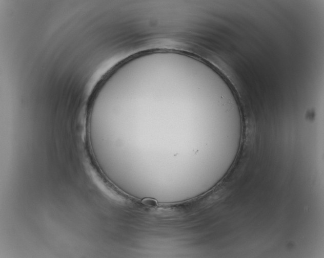 X0000110721128200907022040