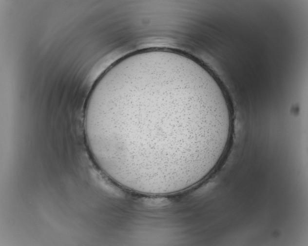 X0000110721129200907022040