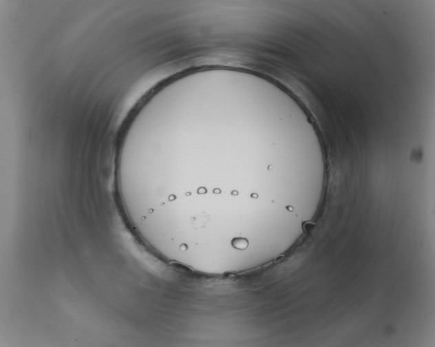 X0000110721131200907022040