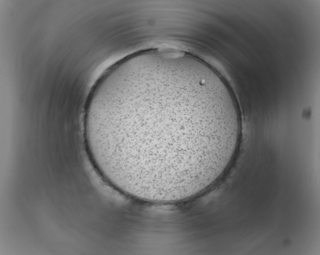 X0000110721133200907022040