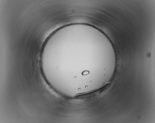 X0000110721134200907022040