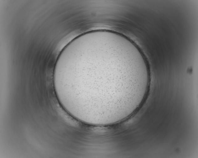 X0000110721137200907022040