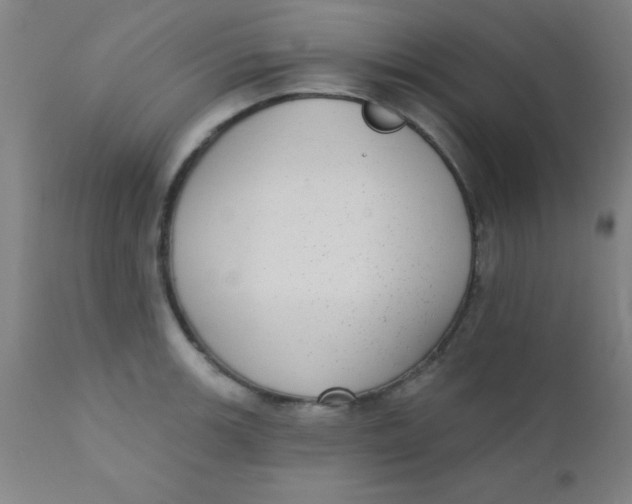 X0000110721139200907022040