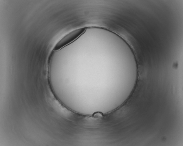 X0000110721140200907022040