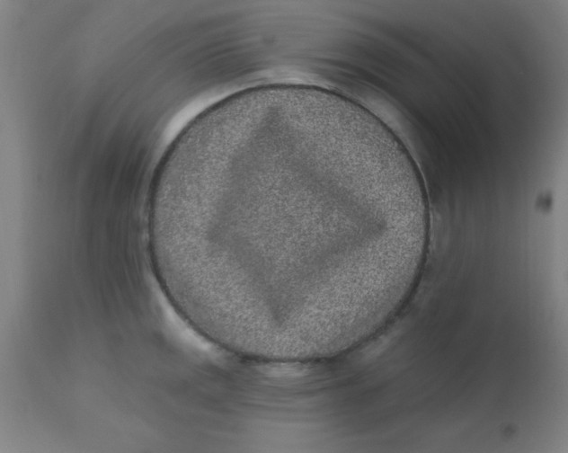 X0000110721141200907022040