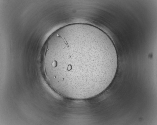 X0000110721142200907022040