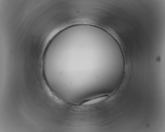 X0000110721144200907022040