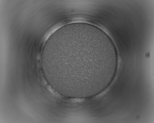 X0000110721145200907022040