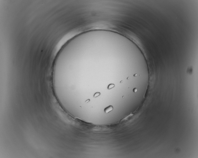 X0000110721146200907022040