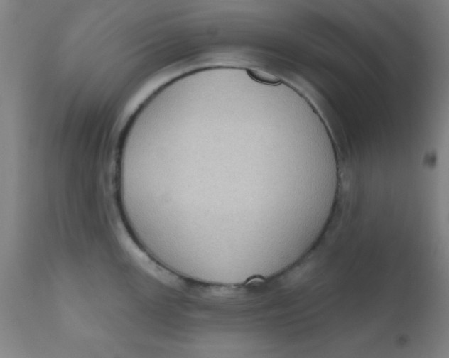 X0000110721147200907022040