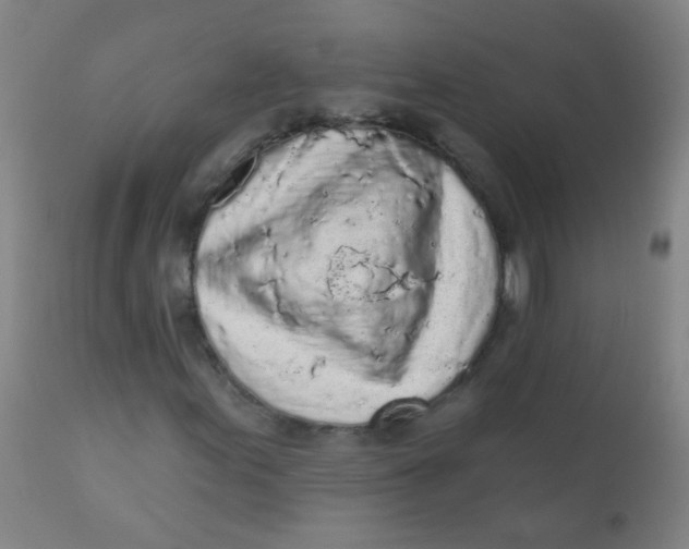 X0000110721155200907022039