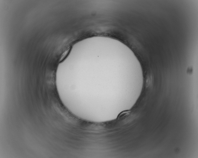 X0000110721156200907022039