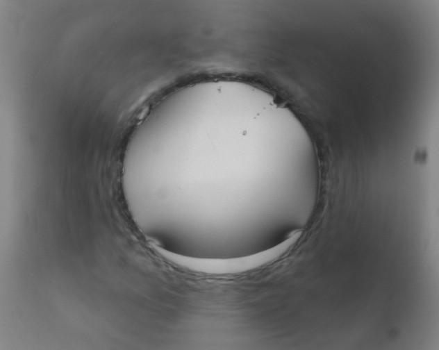 X0000110721157200907022039