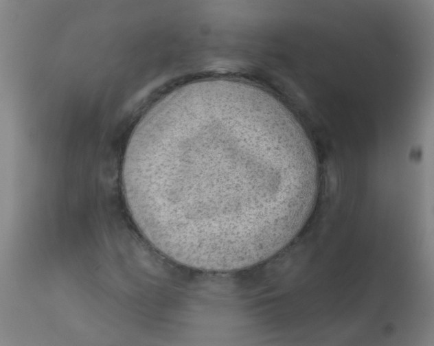 X0000110721158200907022039