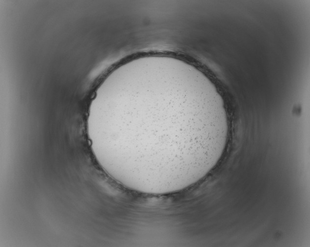 X0000110721160200907022039