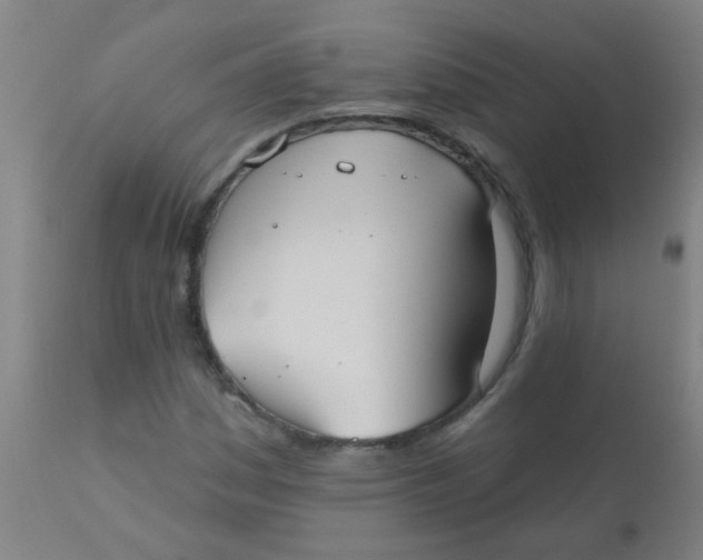 X0000110721161200907022039