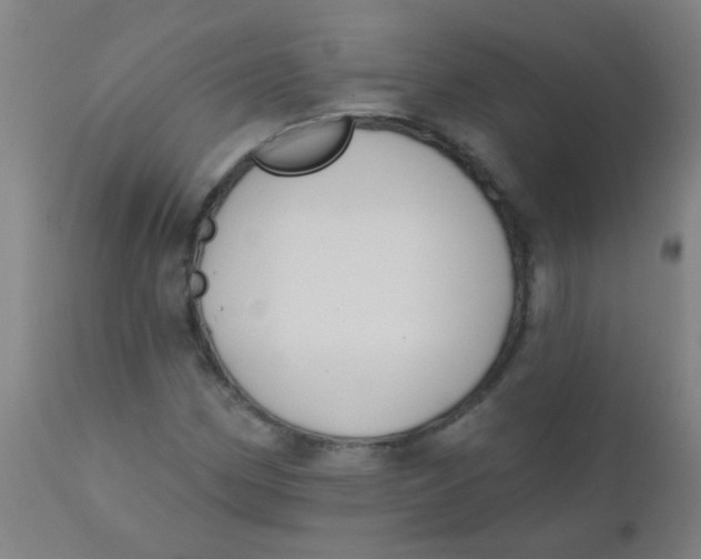 X0000110721162200907022039