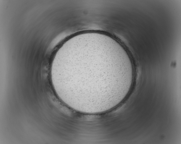 X0000110721163200907022039