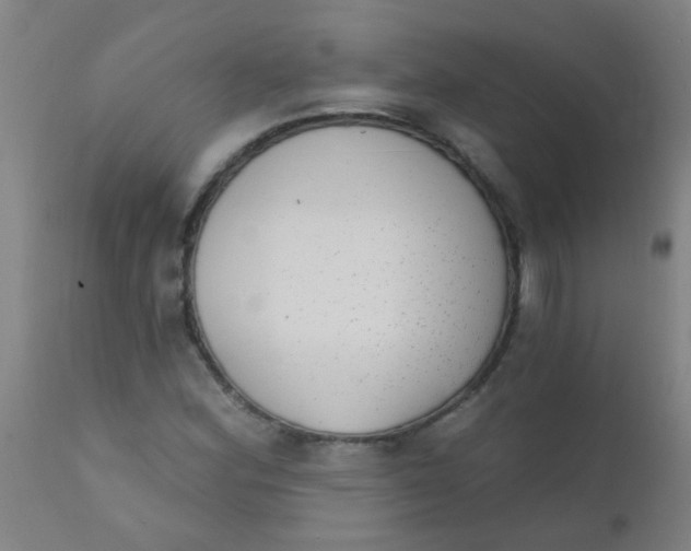 X0000110721164200907022039