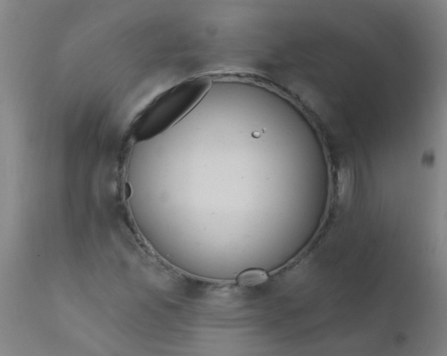 X0000110721165200907022039