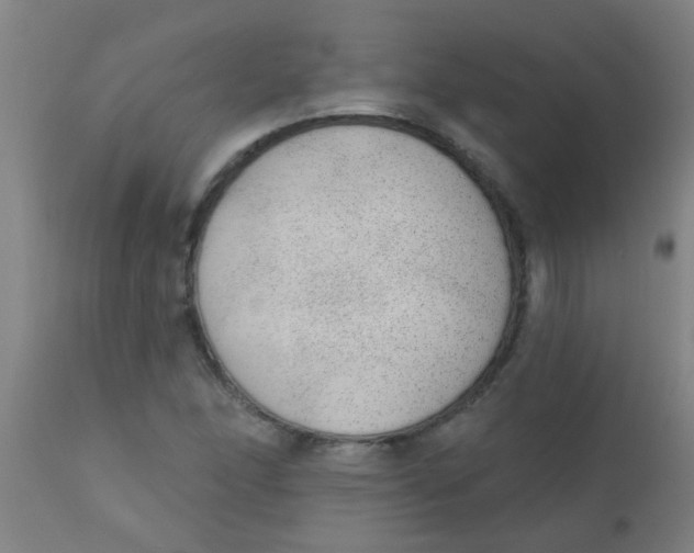 X0000110721166200907022039