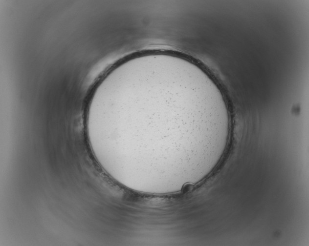 X0000110721167200907022039