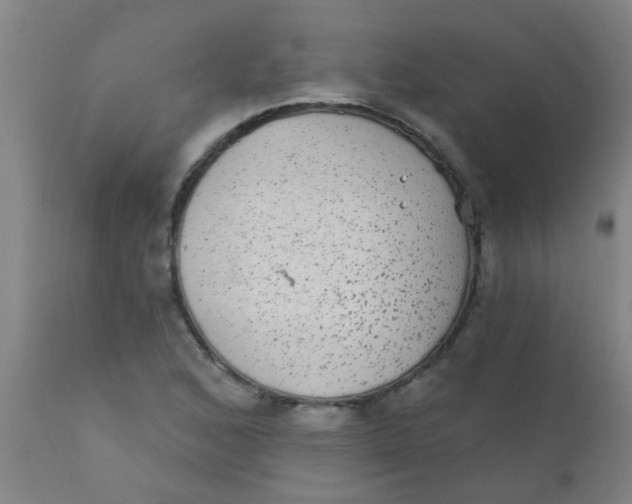 X0000110721168200907022039