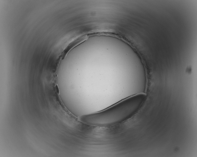 X0000110721169200907022039