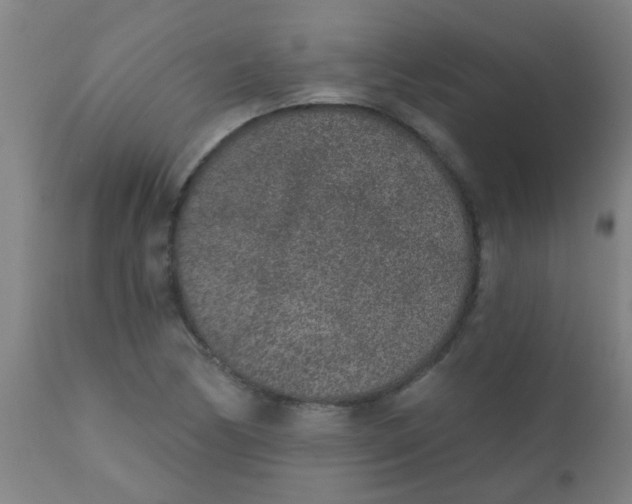 X0000110721170200907022039