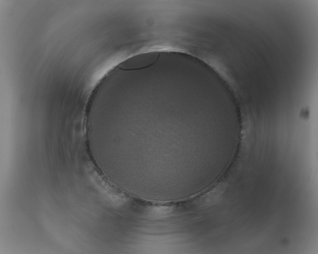 X0000110721173200907022039