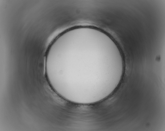 X0000110721175200907022039