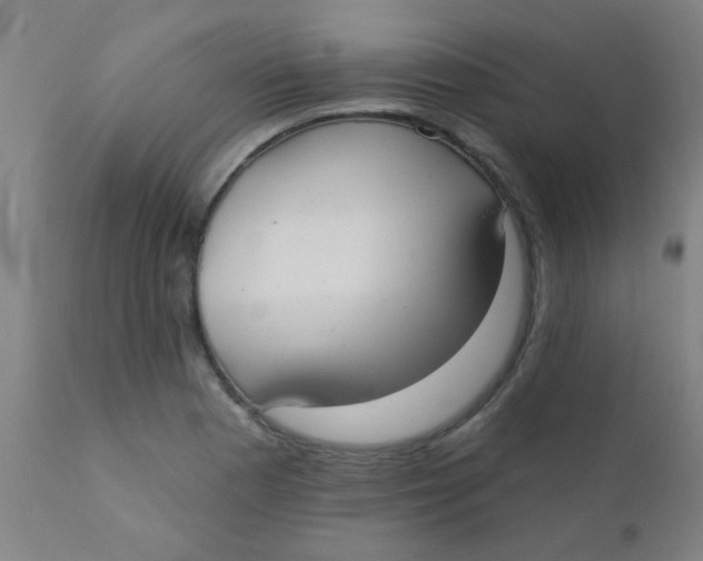 X0000110721177200907022039