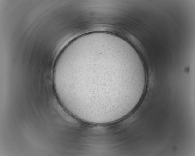 X0000110721178200907022039