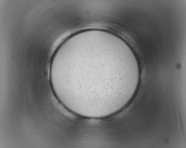 X0000110721180200907022039