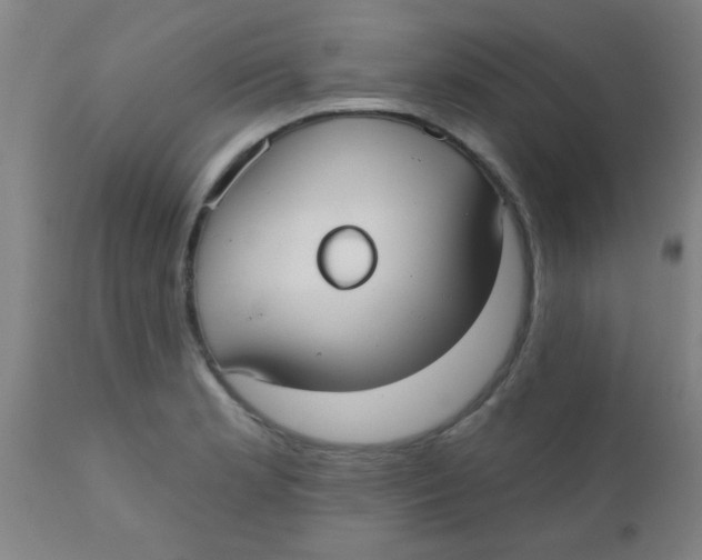 X0000110721181200907022039