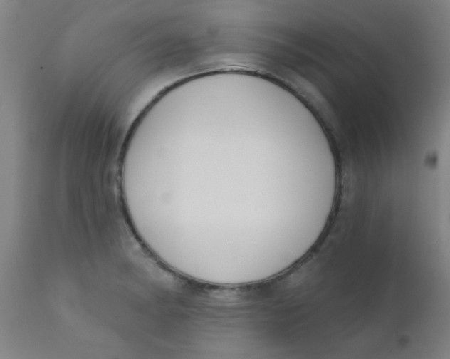 X0000110721182200907022039