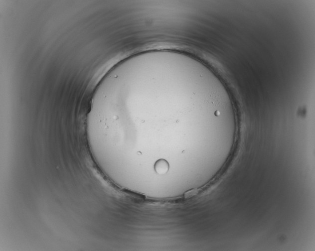 X0000110721185200907022039