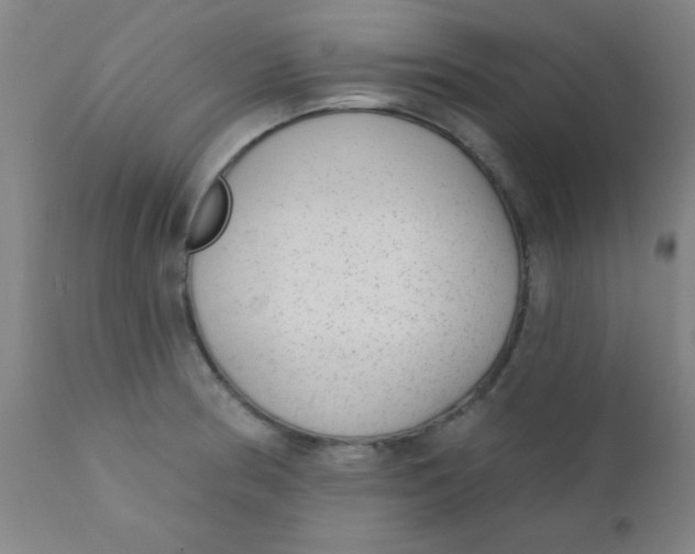 X0000110721186200907022039