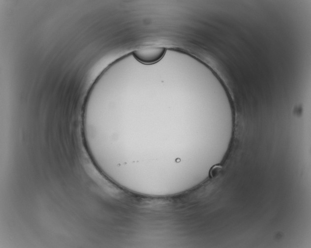 X0000110721187200907022039