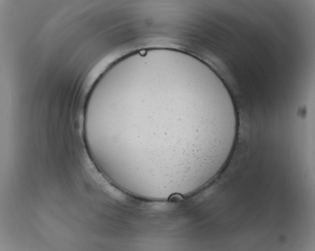 X0000110721188200907022039