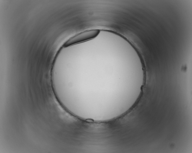 X0000110721189200907022039