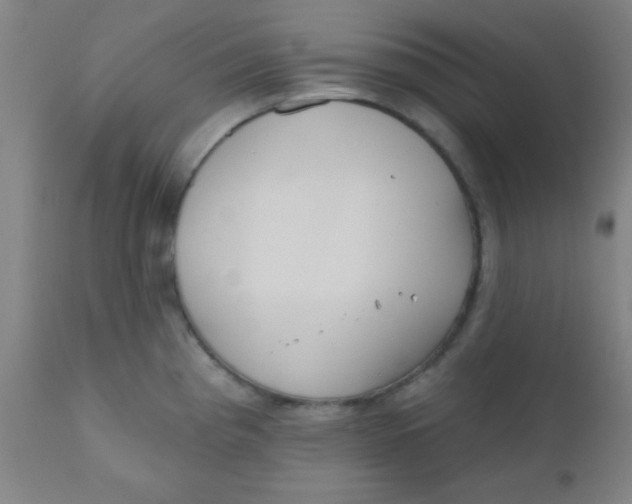 X0000110721193200907022039