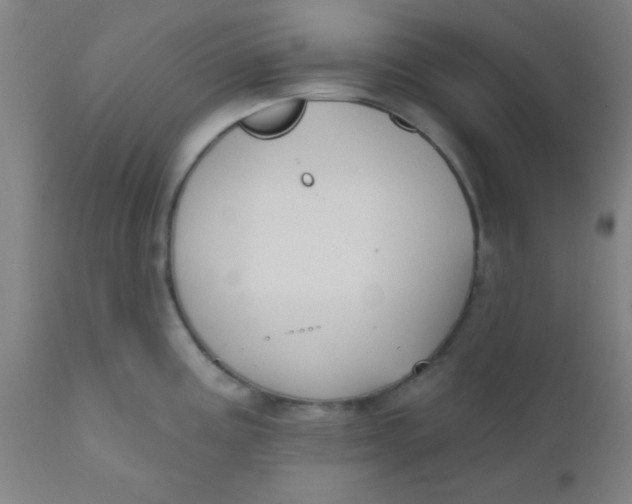 X0000110721195200907022039