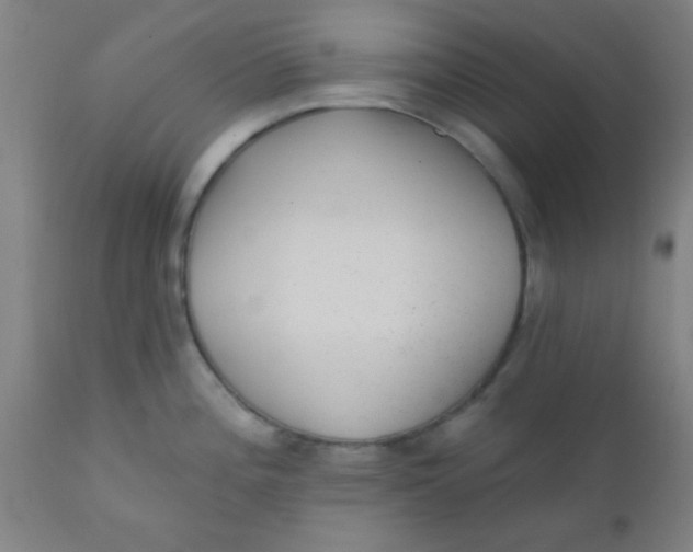 X0000110721196200907022039