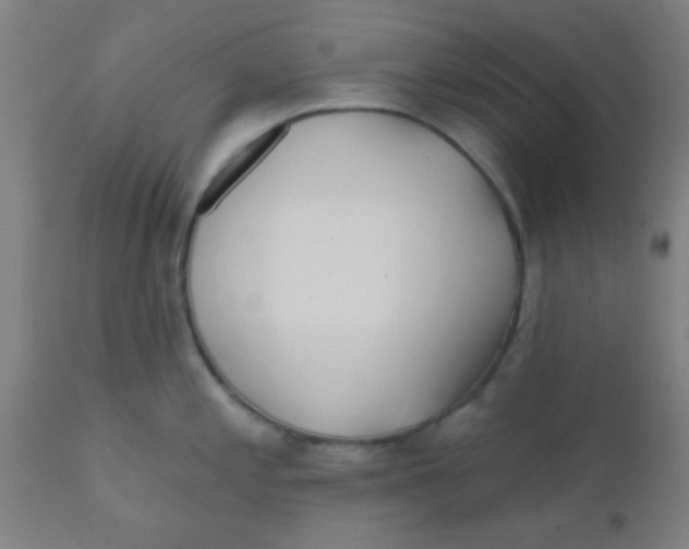 X0000110721197200907022039