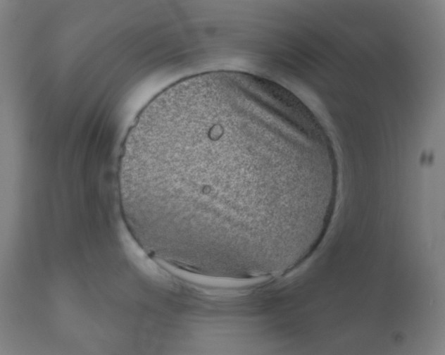 X0000110721200200907022039