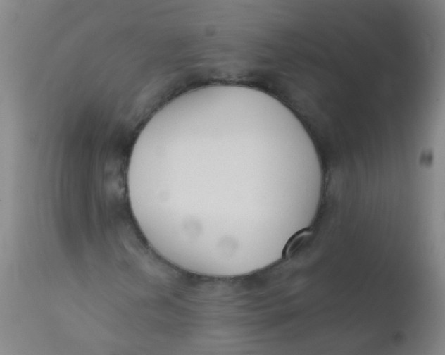 X0000110721202200907022038