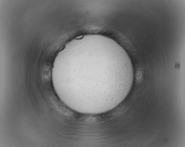 X0000110721204200907022038