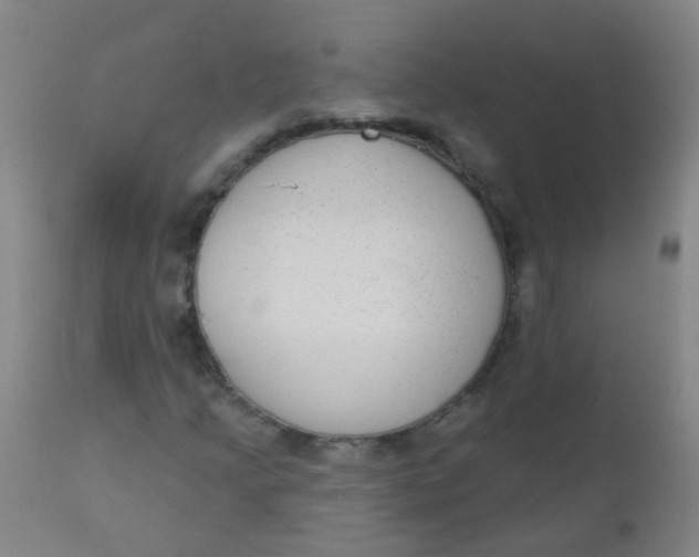 X0000110721205200907022038