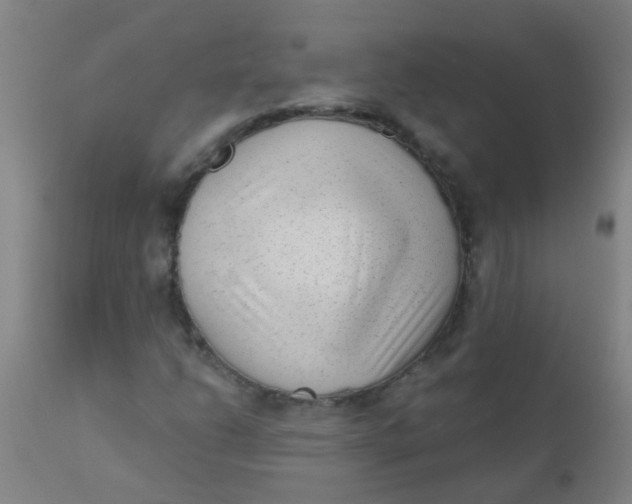 X0000110721206200907022038